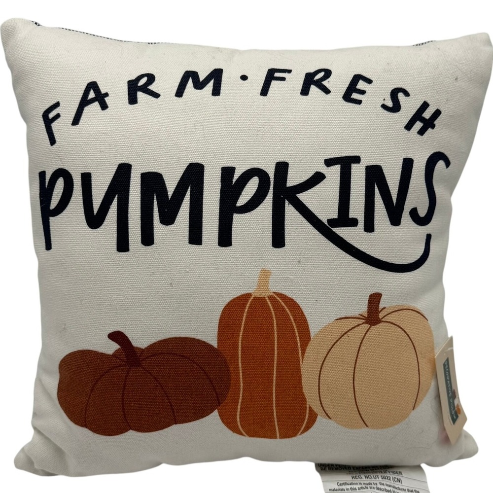 TARGET NWT Farm Fresh Pumpkins Stripes Reversible‎ Throw Pillow Decor 11" Square